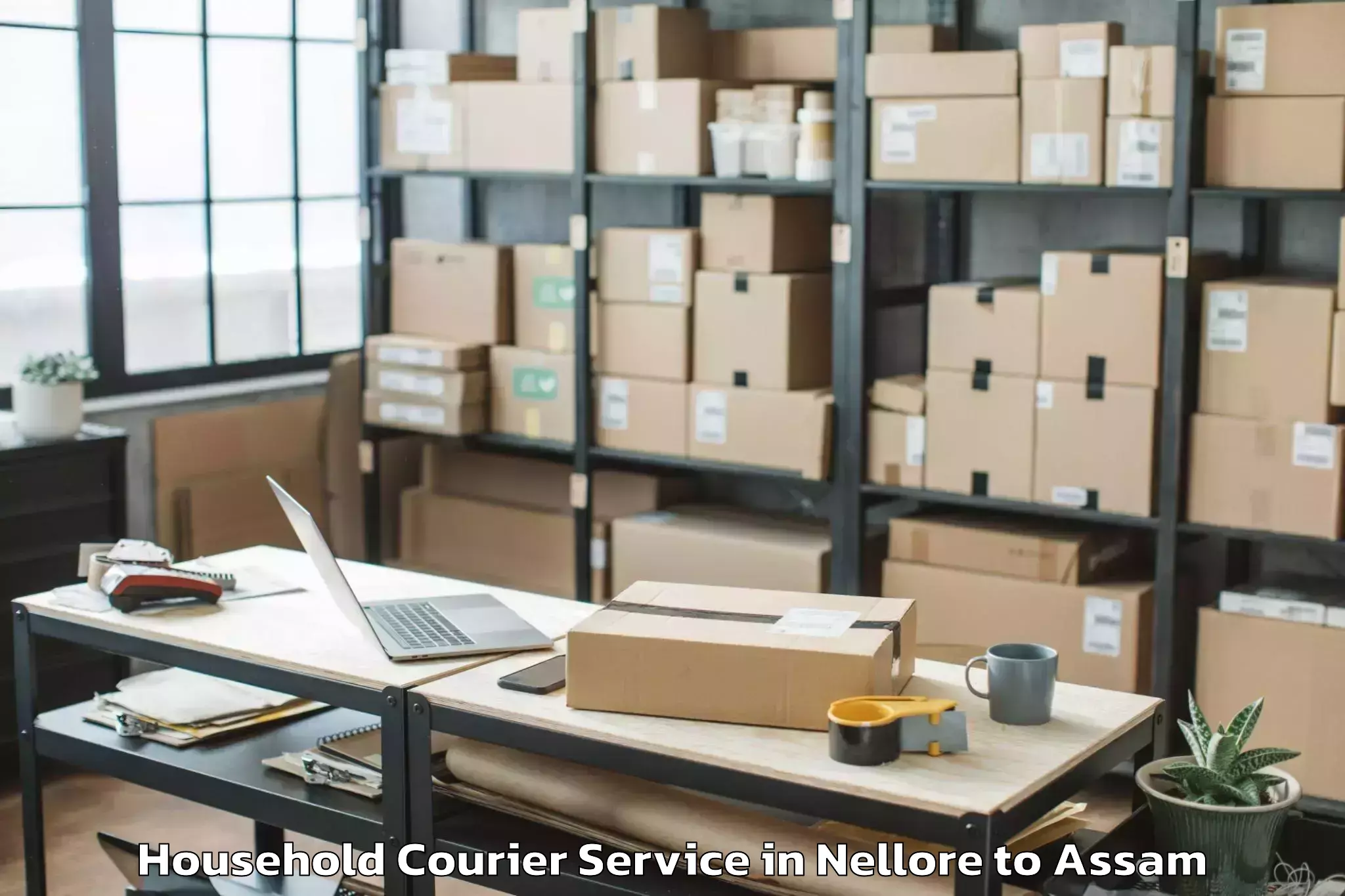 Expert Nellore to Dergaon Household Courier